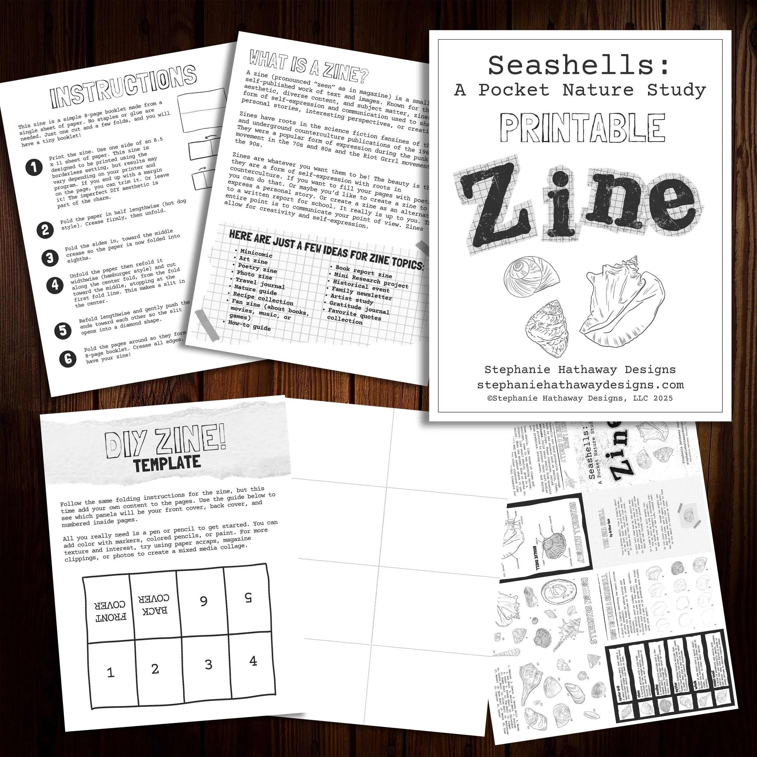 Seashell Nature Zine — Stephanie Hathaway Designs